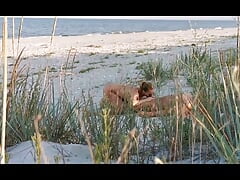 Couple Caught on Camera Having Sex on the Beach