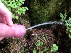Large woodland cum piss